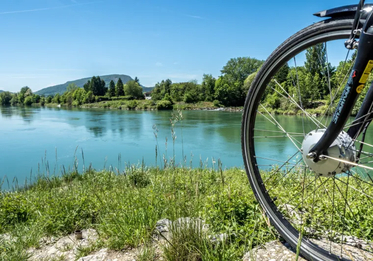 Haut-Rhône à Bugey sur la ViaRhôna