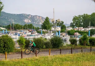 Cycliste sur la ViaRhôna