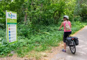 Cyclistes sur la ViaRhôna