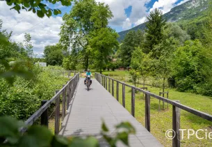 Cyclistes sur la ViaRhôna