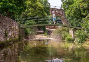 Cyclistes sur la ViaRhôna
