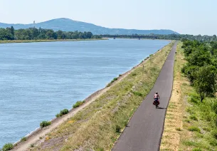 Cyclistes face au Rhône