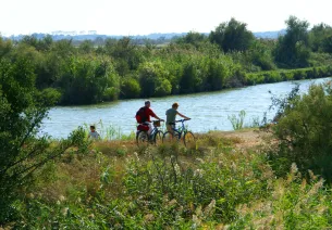 Gallician - Aigues-Mortes - 14km