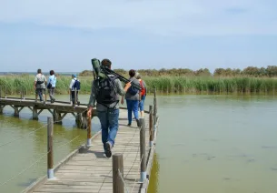 La réserve naturelle régionale du Scamandre 