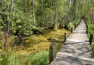 Le marais de Lavours