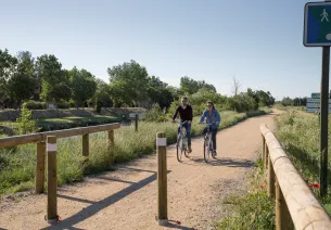 Arles - Mas Thibert (Marais de Vigueirat) - 16 km