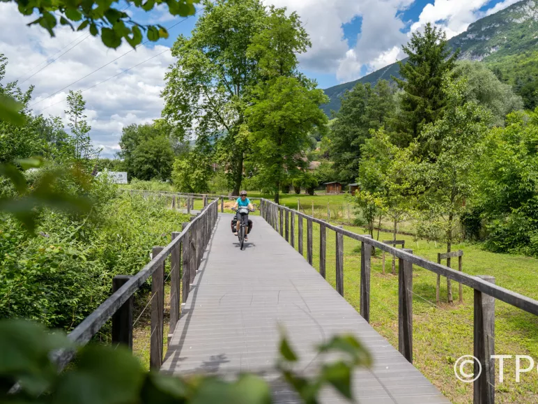 Cyclistes sur la ViaRhôna
