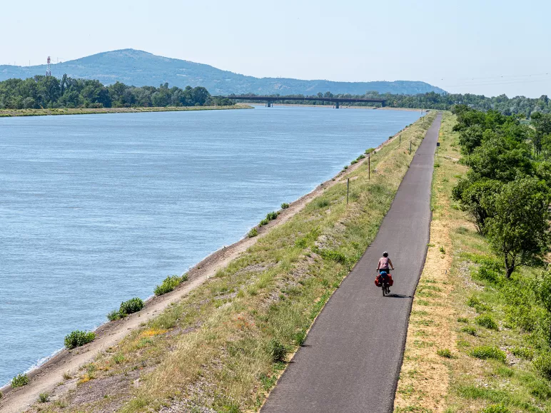Cyclistes face au Rhône