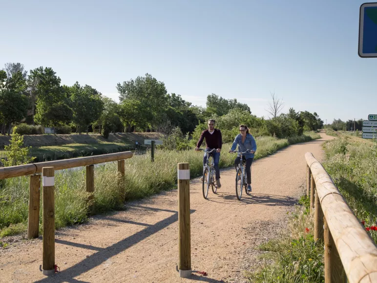 Arles - Mas Thibert (Marais de Vigueirat) - 16 km